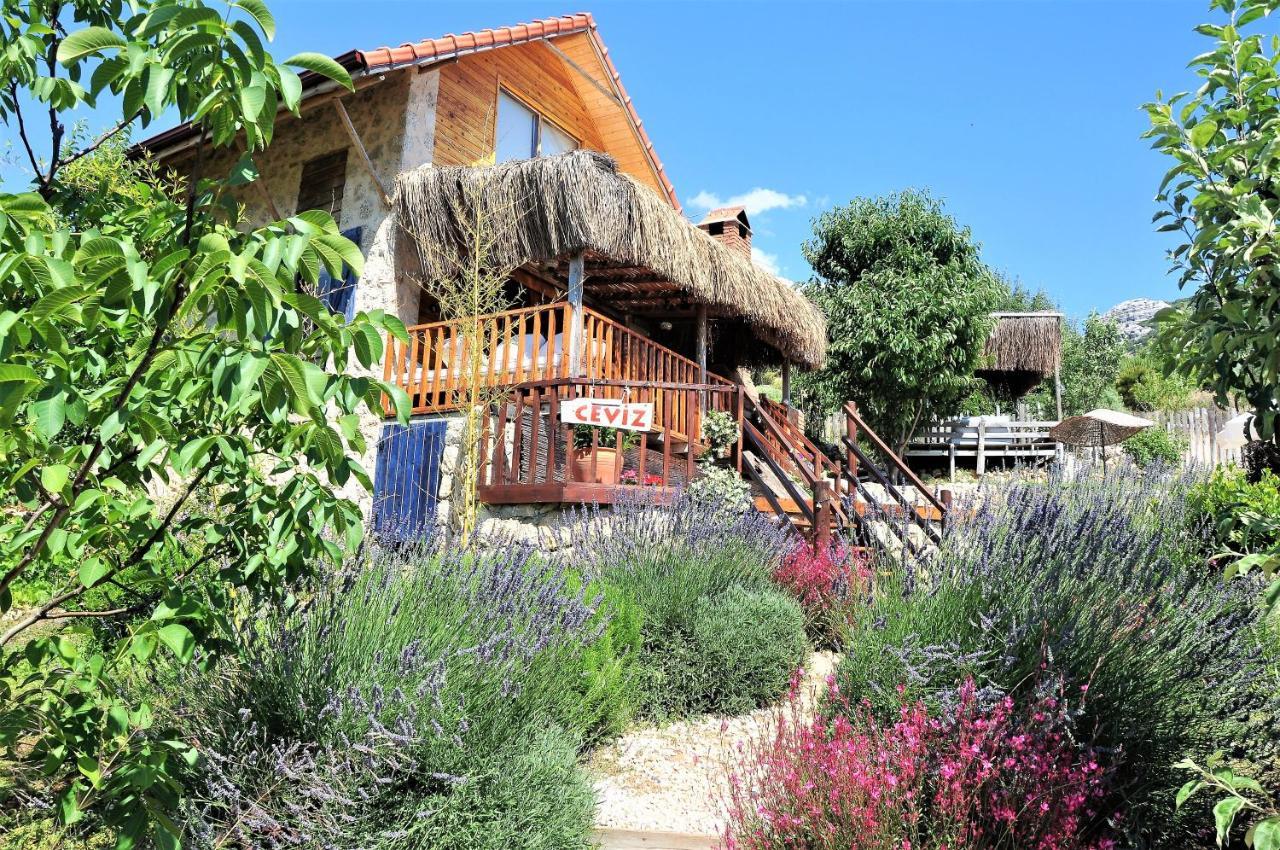 Ambar Evleri Villa Kalkan Luaran gambar