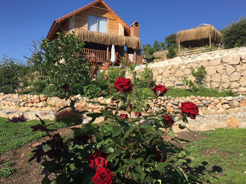 Ambar Evleri Villa Kalkan Luaran gambar